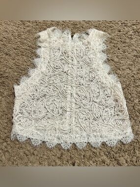 Zara White Lace Sleeveless Crop Top